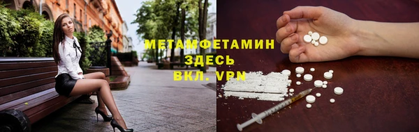 дмт Богданович