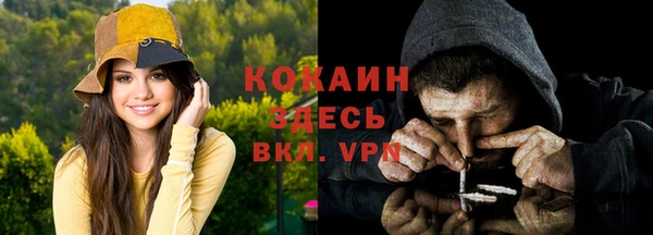 дмт Богданович