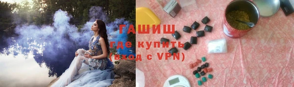 гидра Богородицк