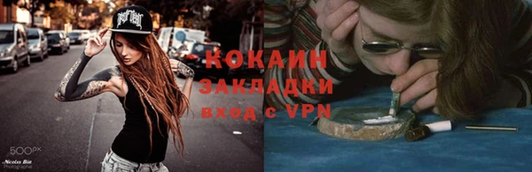 гидра Богородицк
