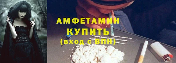 дмт Богданович