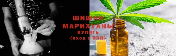 дмт Богданович