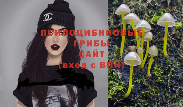 spice Белоозёрский