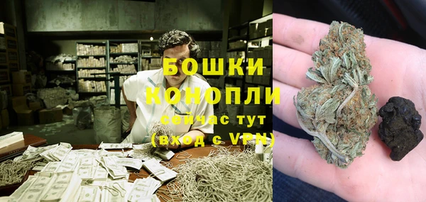 гидра Богородицк