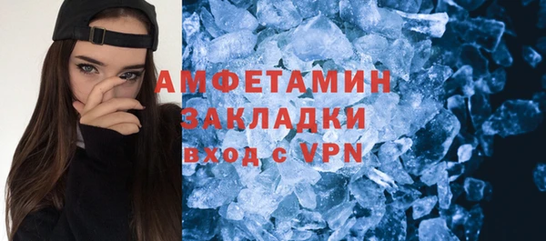 гидра Богородицк