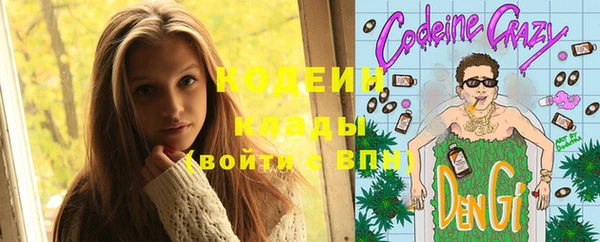 прущий лед Бородино