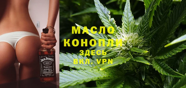 дмт Богданович
