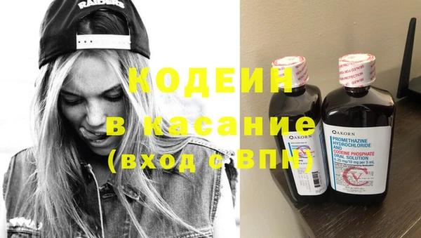 дмт Богданович