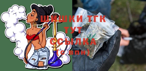 прущий лед Бородино