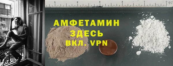 гидра Богородицк