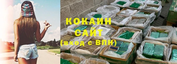 прущий лед Бородино