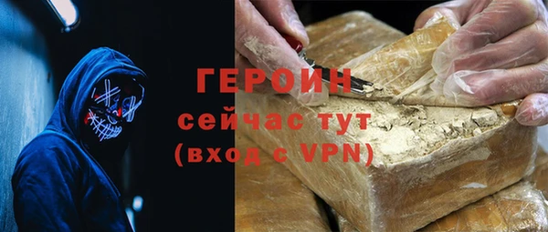 гидра Богородицк