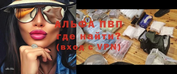 дмт Богданович