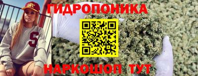 кокс Можайск