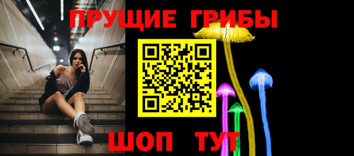 Псилоцибиновые грибы мицелий Армавир